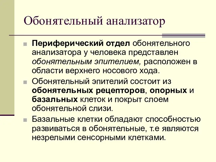 Обонятельный анализатор Периферический отдел обонятельного анализатора у человека представлен обонятельным