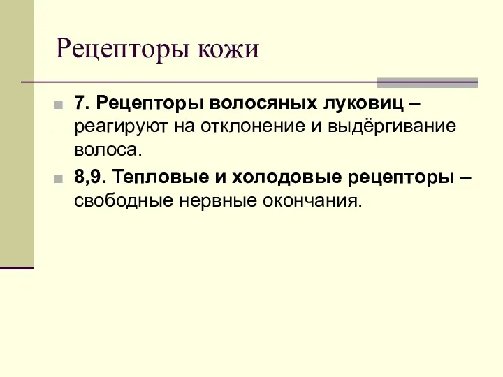 Рецепторы кожи 7. Рецепторы волосяных луковиц – реагируют на отклонение