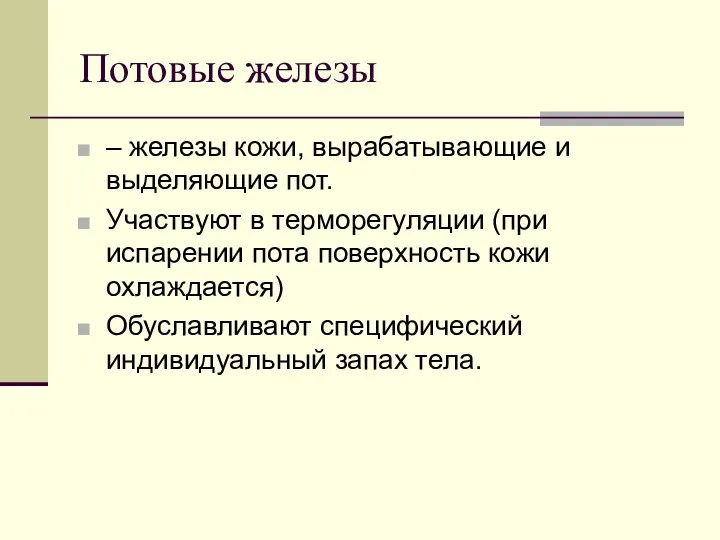 Потовые железы – железы кожи, вырабатывающие и выделяющие пот. Участвуют