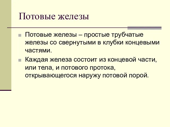 Потовые железы Потовые железы – простые трубчатые железы со свернутыми