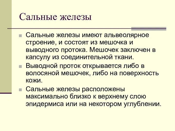 Сальные железы Сальные железы имеют альвеолярное строение, и состоят из