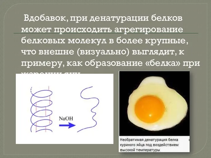 Вдобавок, при денатурации белков может происходить агрегирование белковых молекул в