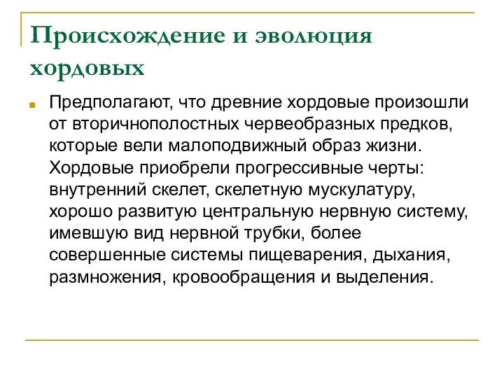 Происхождение и эволюция хордовых Предполагают, что древние хордовые произошли от