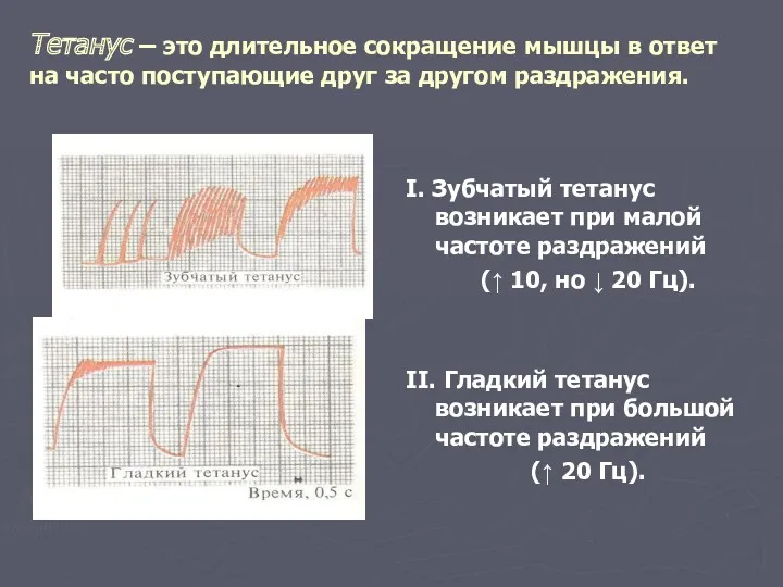 Тетанус – это длительное сокращение мышцы в ответ на часто поступающие друг за