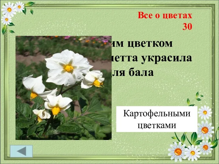 Все о цветах 30 Именно этим цветком Мария-Антуанетта украсила наряд для бала