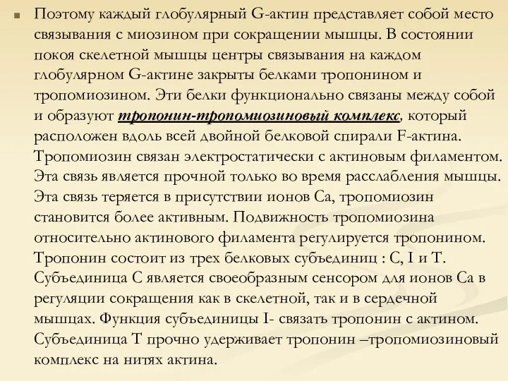 Поэтому каждый глобулярный G-актин представляет собой место связывания с миозином