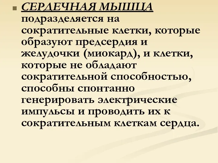 СЕРДЕЧНАЯ МЫШЦА подразделяется на сократительные клетки, которые образуют предсердия и