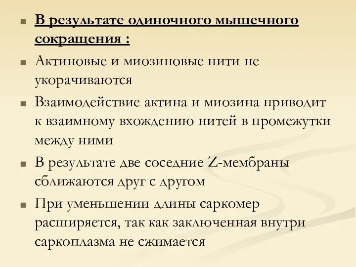 В результате одиночного мышечного сокращения : Актиновые и миозиновые нити