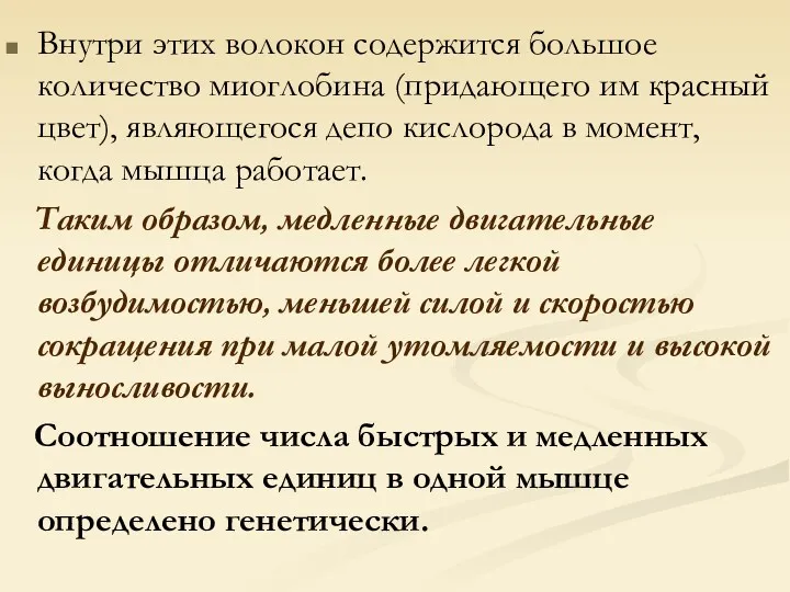 Внутри этих волокон содержится большое количество миоглобина (придающего им красный