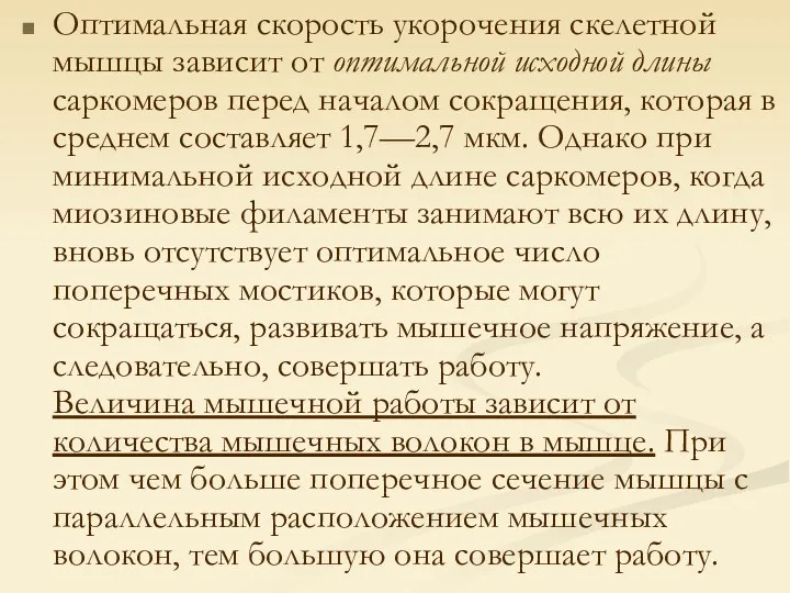 Оптимальная скорость укорочения скелетной мышцы зависит от оптимальной исходной длины