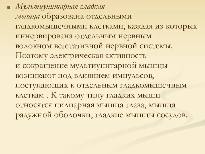 Мультиунитарная гладкая мышца образована отдельными гладкомышечными клетками, каждая из которых