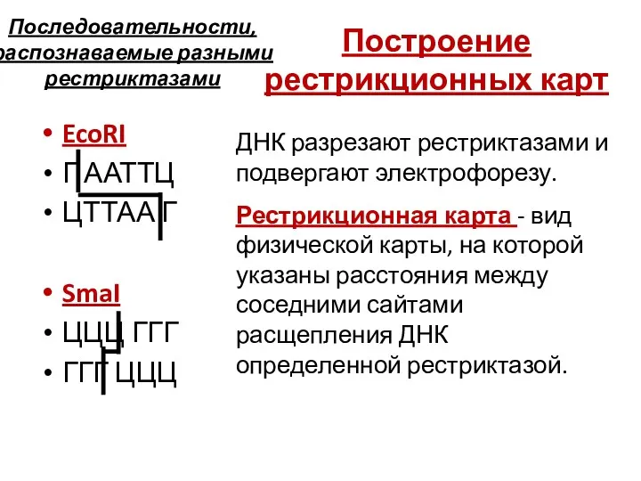 Последовательности, распознаваемые разными рестриктазами EcoRI Г ААТТЦ ЦТТАА Г SmaI