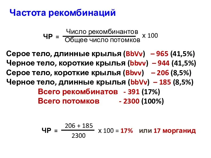 Частота рекомбинаций ЧР = Серое тело, длинные крылья (BbVv) –