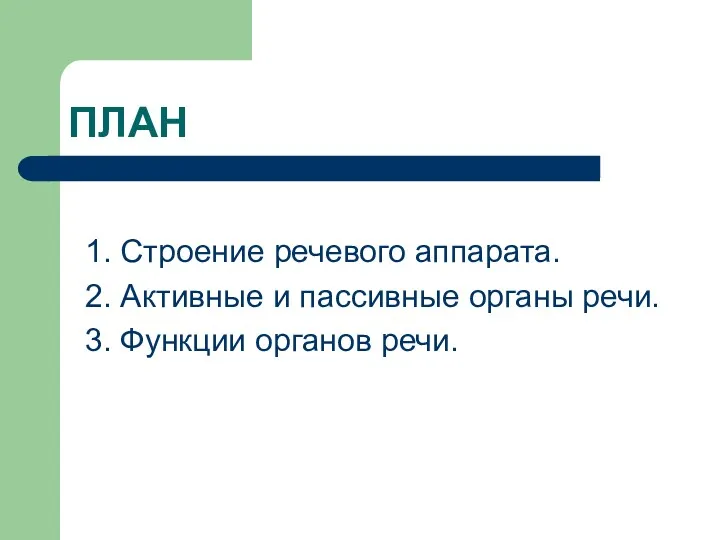 ПЛАН 1. Строение речевого аппарата. 2. Активные и пассивные органы речи. 3. Функции органов речи.