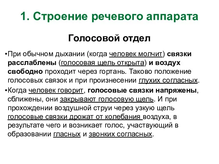 1. Строение речевого аппарата Голосовой отдел При обычном дыхании (когда