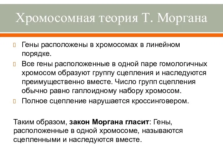 Хромосомная теория Т. Моргана Гены расположены в хромосомах в линейном порядке. Все гены