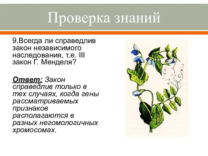 Проверка знаний 9.Всегда ли справедлив закон независимого наследования, т.е. III