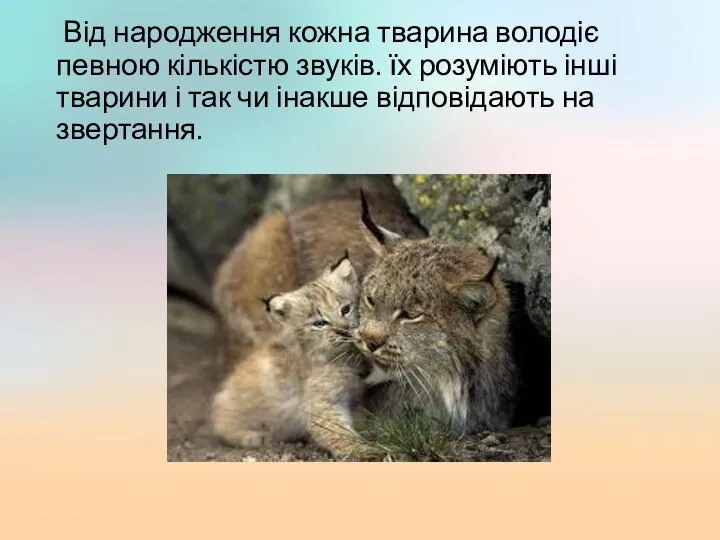 Від народження кожна тварина володіє певною кількістю звуків. їх розуміють