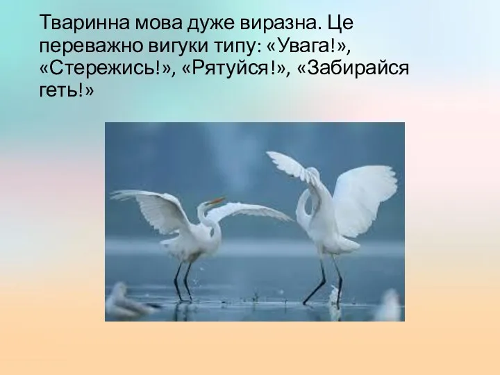 Тваринна мова дуже виразна. Це переважно вигуки типу: «Увага!», «Стережись!», «Рятуйся!», «Забирайся геть!»