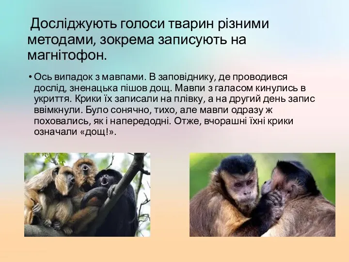 Досліджують голоси тварин різними методами, зокрема записують на магнітофон. Ось