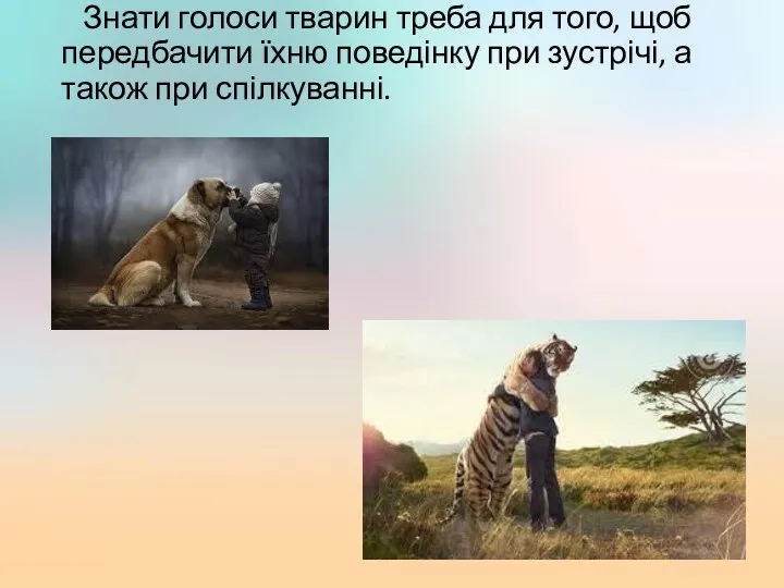 Знати голоси тварин треба для того, щоб передбачити їхню поведінку при зустрічі, а також при спілкуванні.