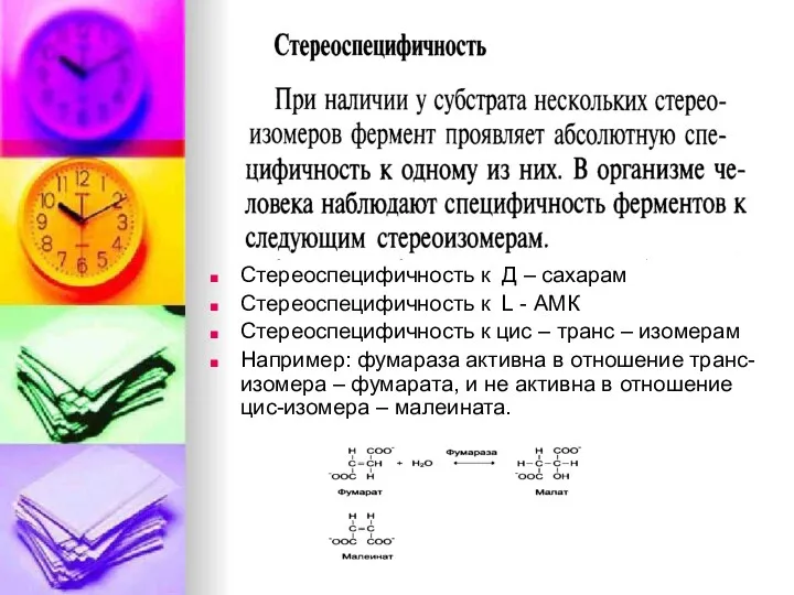 Стереоспецифичность к Д – сахарам Стереоспецифичность к L - АМК