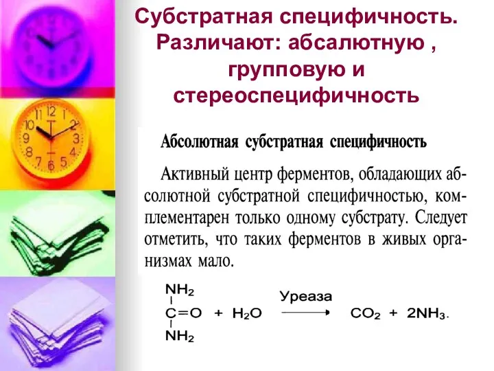 Субстратная специфичность. Различают: абсалютную , групповую и стереоспецифичность