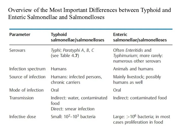 Overview of the Most Important Differences between Typhoid and Enteric Salmonellae and Salmonelloses
