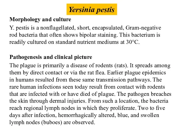 Yersinia pestis Y. pestis is a nonflagellated, short, encapsulated, Gram-negative rod bacteria that