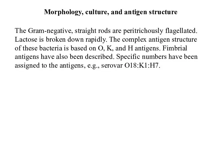 The Gram-negative, straight rods are peritrichously flagellated. Lactose is broken down rapidly. The