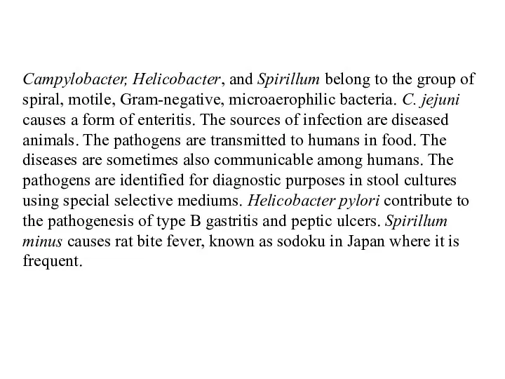 Campylobacter, Helicobacter, and Spirillum belong to the group of spiral, motile, Gram-negative, microaerophilic