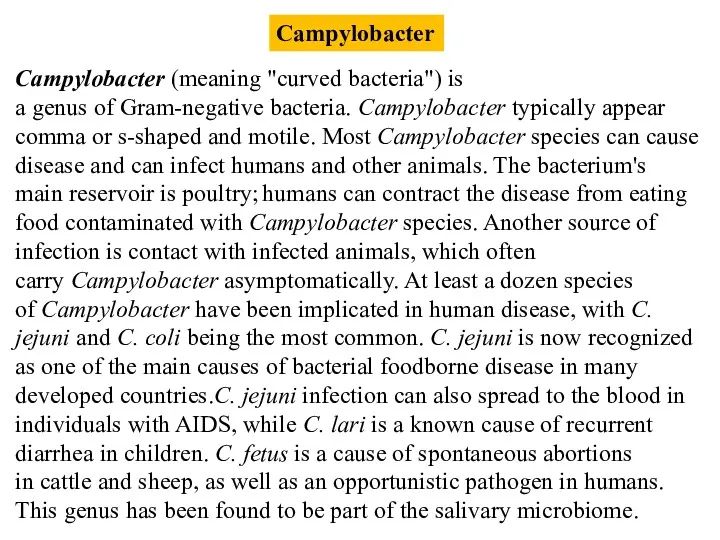 Campylobacter Campylobacter (meaning "curved bacteria") is a genus of Gram-negative bacteria. Campylobacter typically