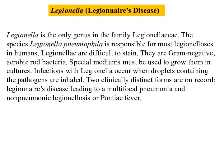 Legionella is the only genus in the family Legionellaceae. The species Legionella pneumophila