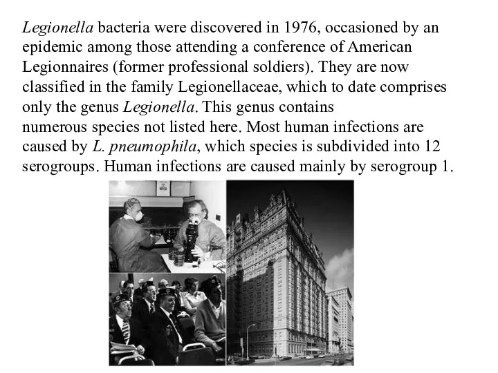 Legionella bacteria were discovered in 1976, occasioned by an epidemic among those attending