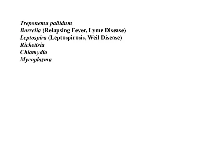 Treponema pallidum Borrelia (Relapsing Fever, Lyme Disease) Leptospira (Leptospirosis, Weil Disease) Rickettsia Chlamydia Mycoplasma