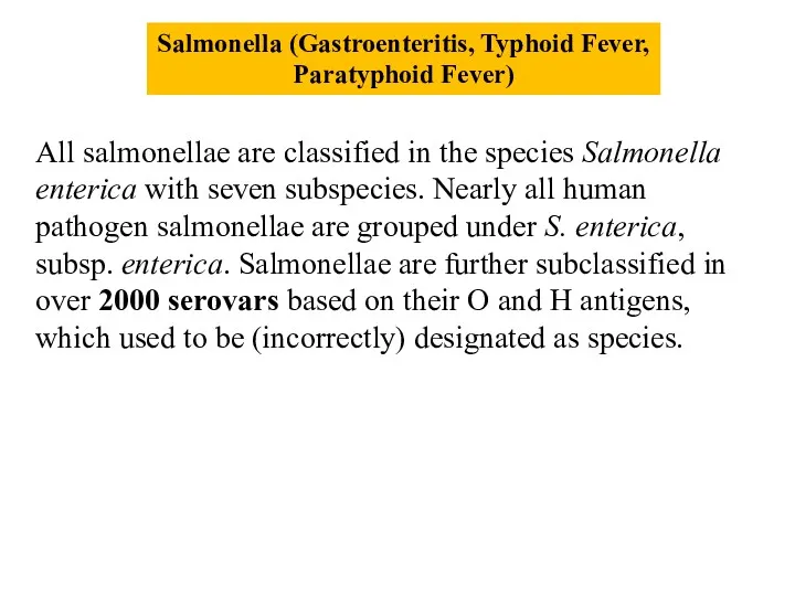 Salmonella (Gastroenteritis, Typhoid Fever, Paratyphoid Fever) All salmonellae are classified