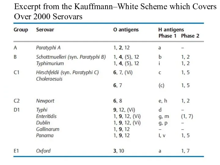 Excerpt from the Kauffmann–White Scheme which Covers Over 2000 Serovars