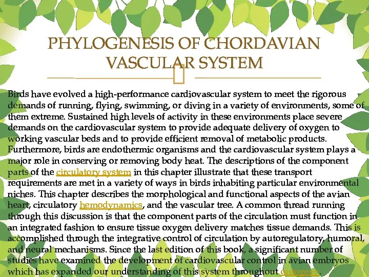 PHYLOGENESIS OF CHORDAVIAN VASCULAR SYSTEM Birds have evolved a high-performance