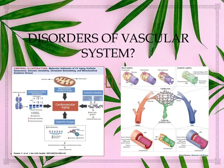 DISORDERS OF VASCULAR SYSTEM?