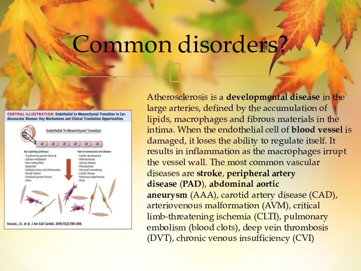 Common disorders? Atherosclerosis is a developmental disease in the large