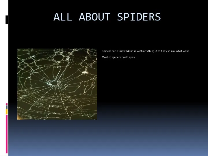 ALL ABOUT SPIDERS spiders can almost blend in with anything.And
