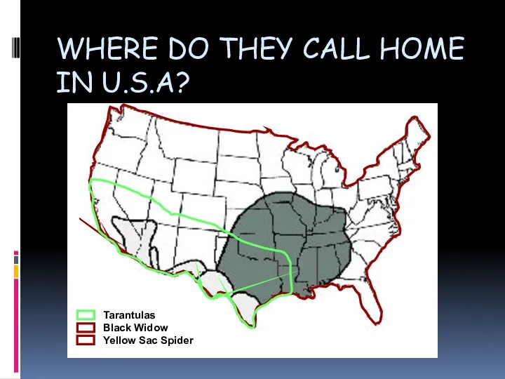 WHERE DO THEY CALL HOME IN U.S.A?
