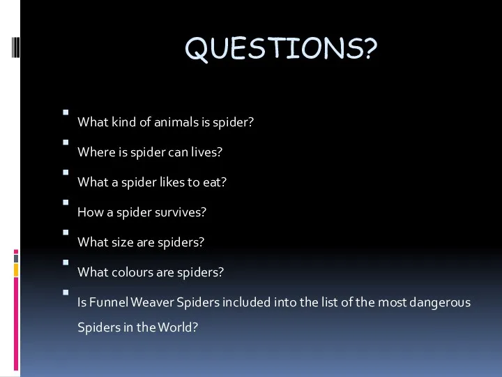QUESTIONS? What kind of animals is spider? Where is spider