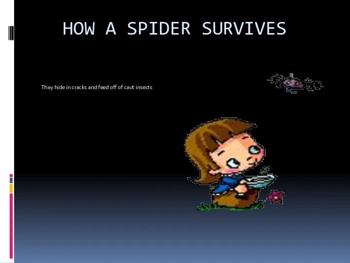 HOW A SPIDER SURVIVES They hide in cracks and feed off of caut insects