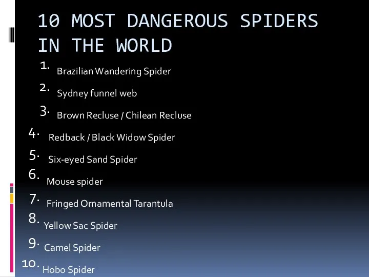 10 MOST DANGEROUS SPIDERS IN THE WORLD Brazilian Wandering Spider