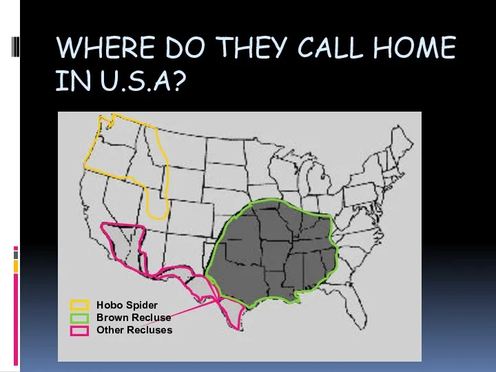 WHERE DO THEY CALL HOME IN U.S.A?