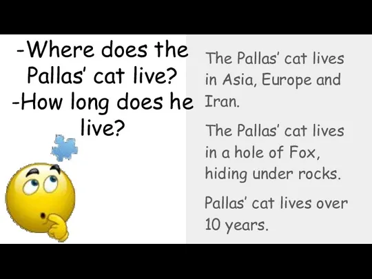 -Where does the Pallas’ cat live? -How long does he live? The Pallas’