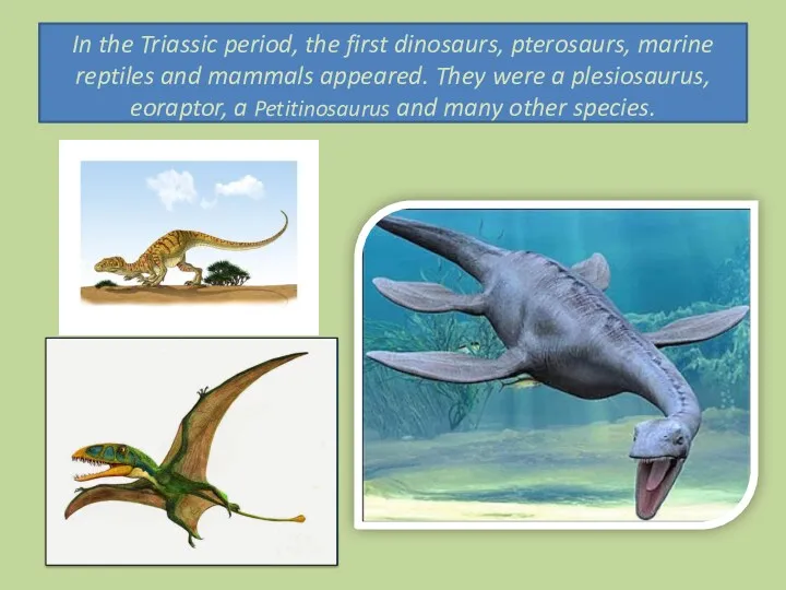 In the Triassic period, the first dinosaurs, pterosaurs, marine reptiles and mammals appeared.