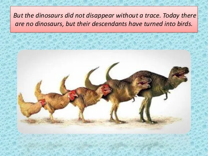 But the dinosaurs did not disappear without a trace. Today there are no
