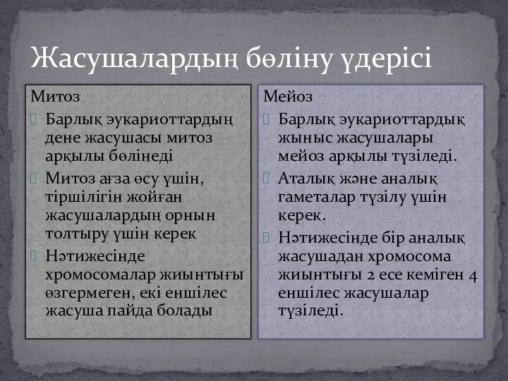 Жасушалардың бөліну үдерісі Митоз Барлық эукариоттардың дене жасушасы митоз арқылы